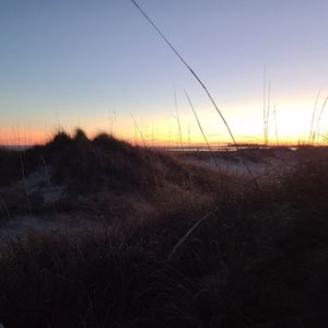 Heart Mesh Applique Detail Slips